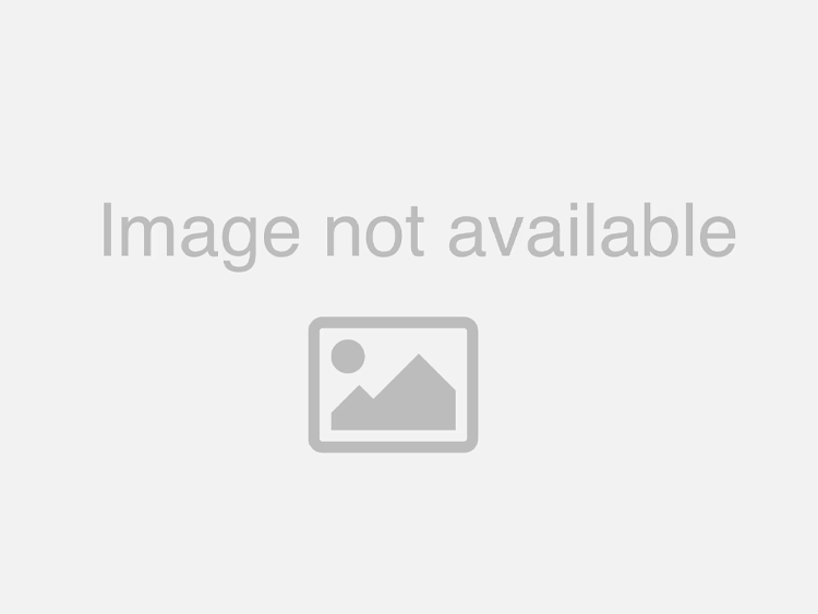 Jeep Renegade Front Lower Ball Joint - Moog - `15-`22