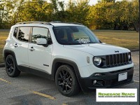 Jeep Renegade Lowering Springs - MADNESS 